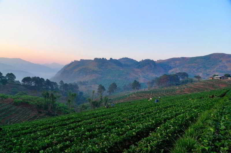 Angkhang Nature Resort Fang Ngoại thất bức ảnh