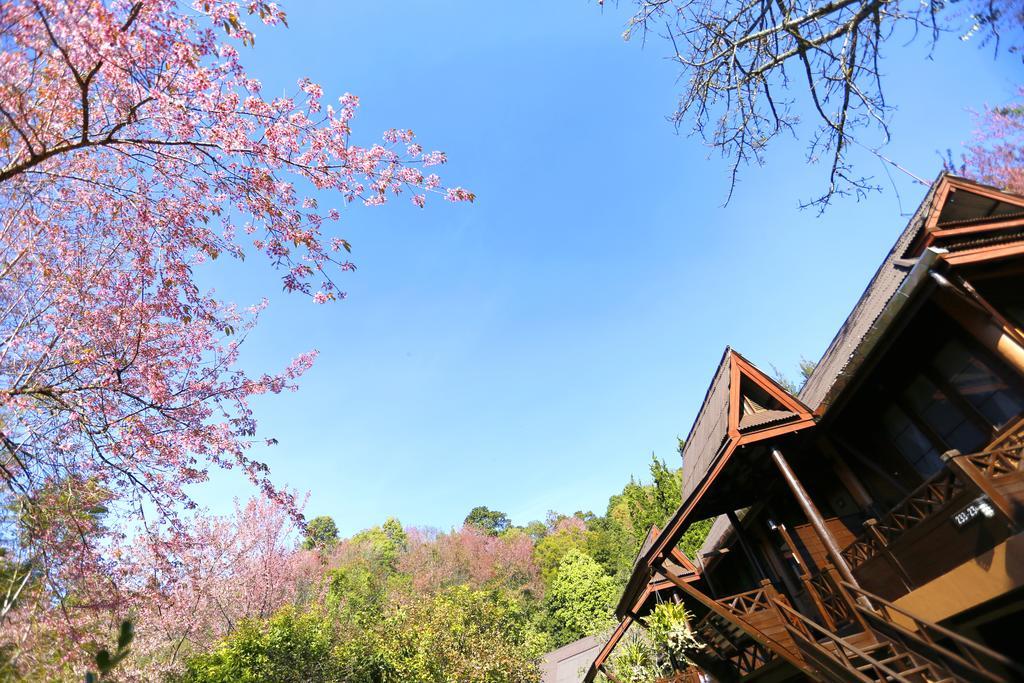 Angkhang Nature Resort Fang Ngoại thất bức ảnh
