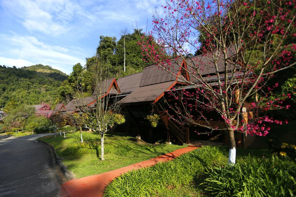 Angkhang Nature Resort Fang Ngoại thất bức ảnh