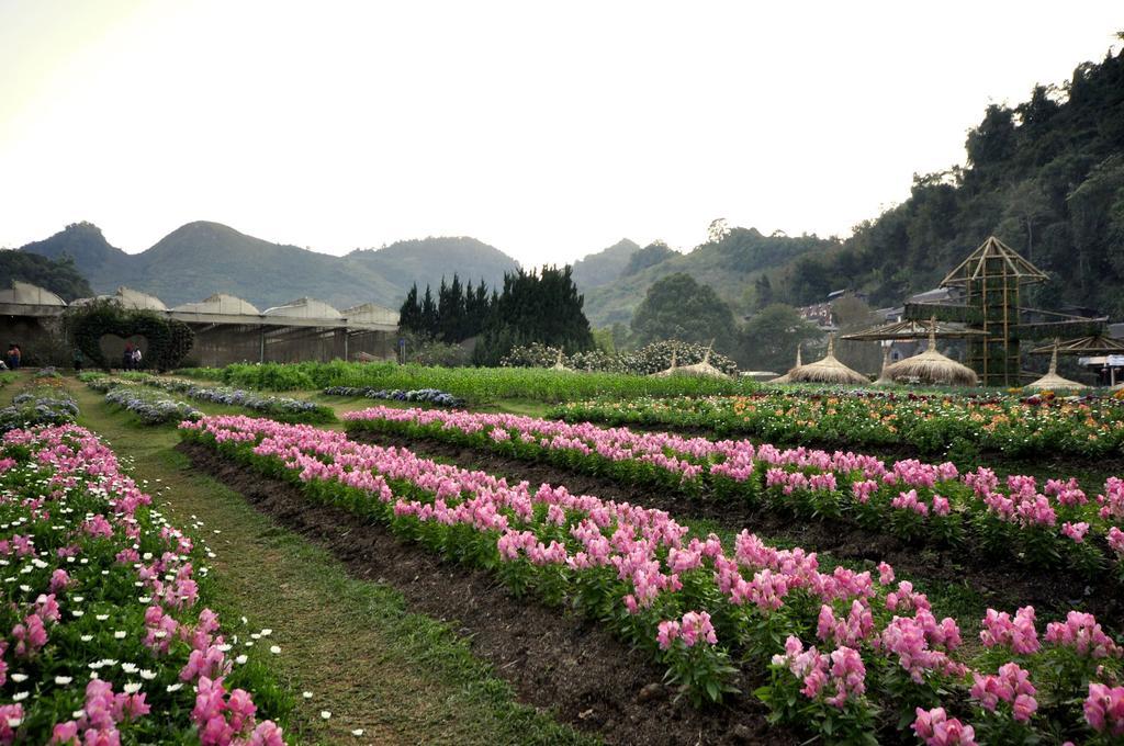 Angkhang Nature Resort Fang Ngoại thất bức ảnh